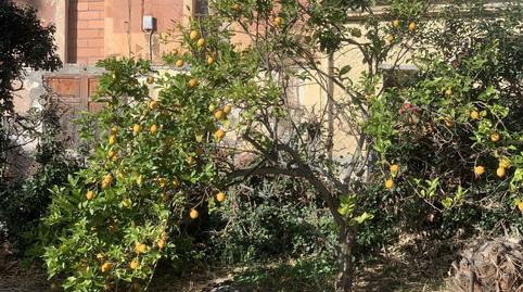 Foto 4 de Finca rústica en venda a Jesús - Els Reguers, Tortosa