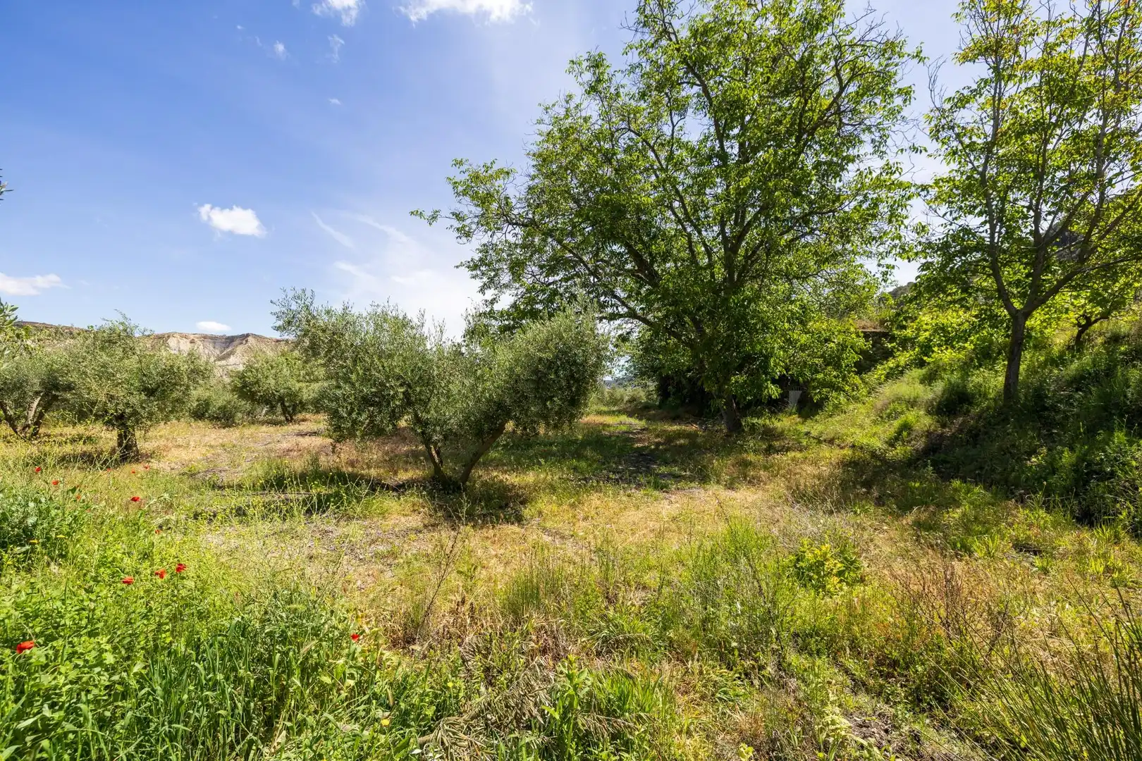 Maison rustique à vendre à La Peza, imagen 57