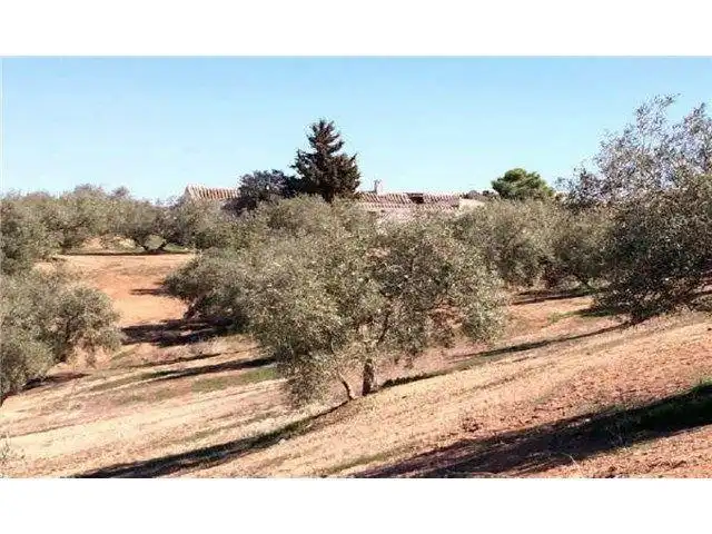 Terreni e lotti in vendita a Avenida Andalucía