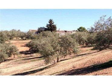Terrain rustique à vendre à Avenida Andalucía