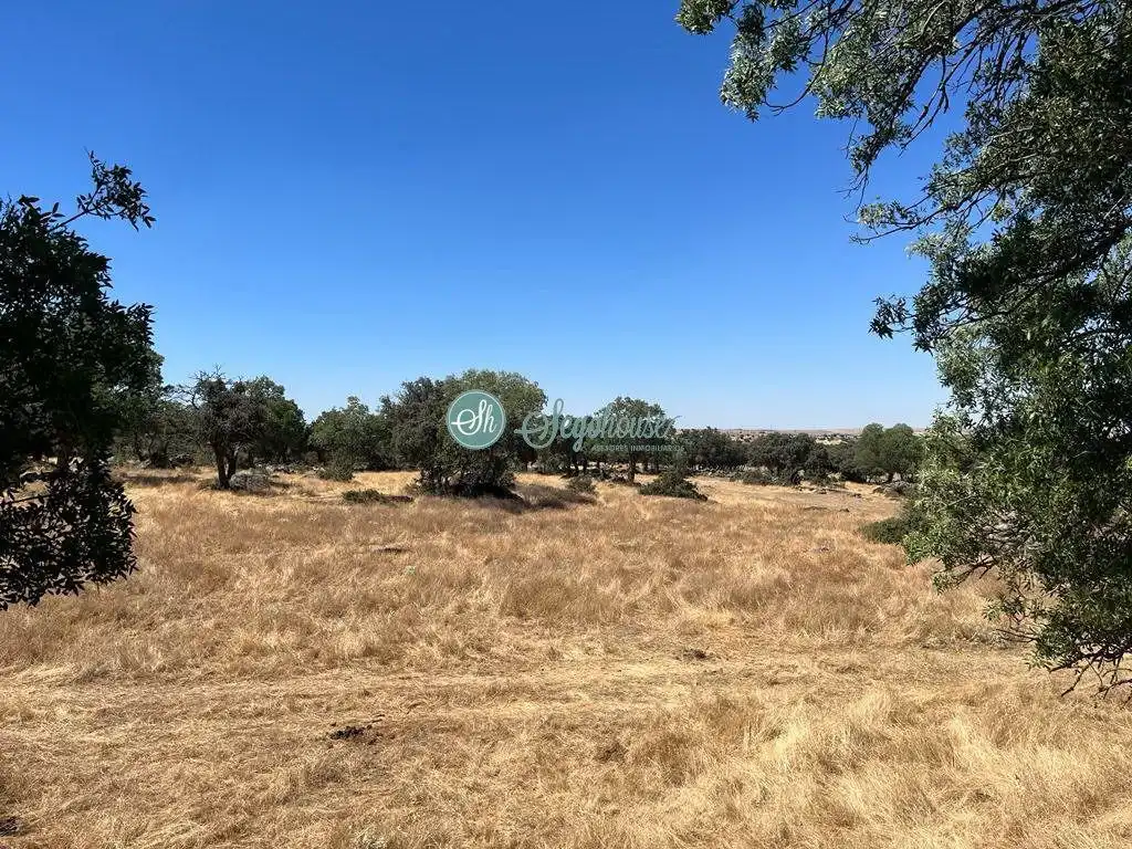 Terreny rústic en venda a Navas de Riofrío, imagen 3