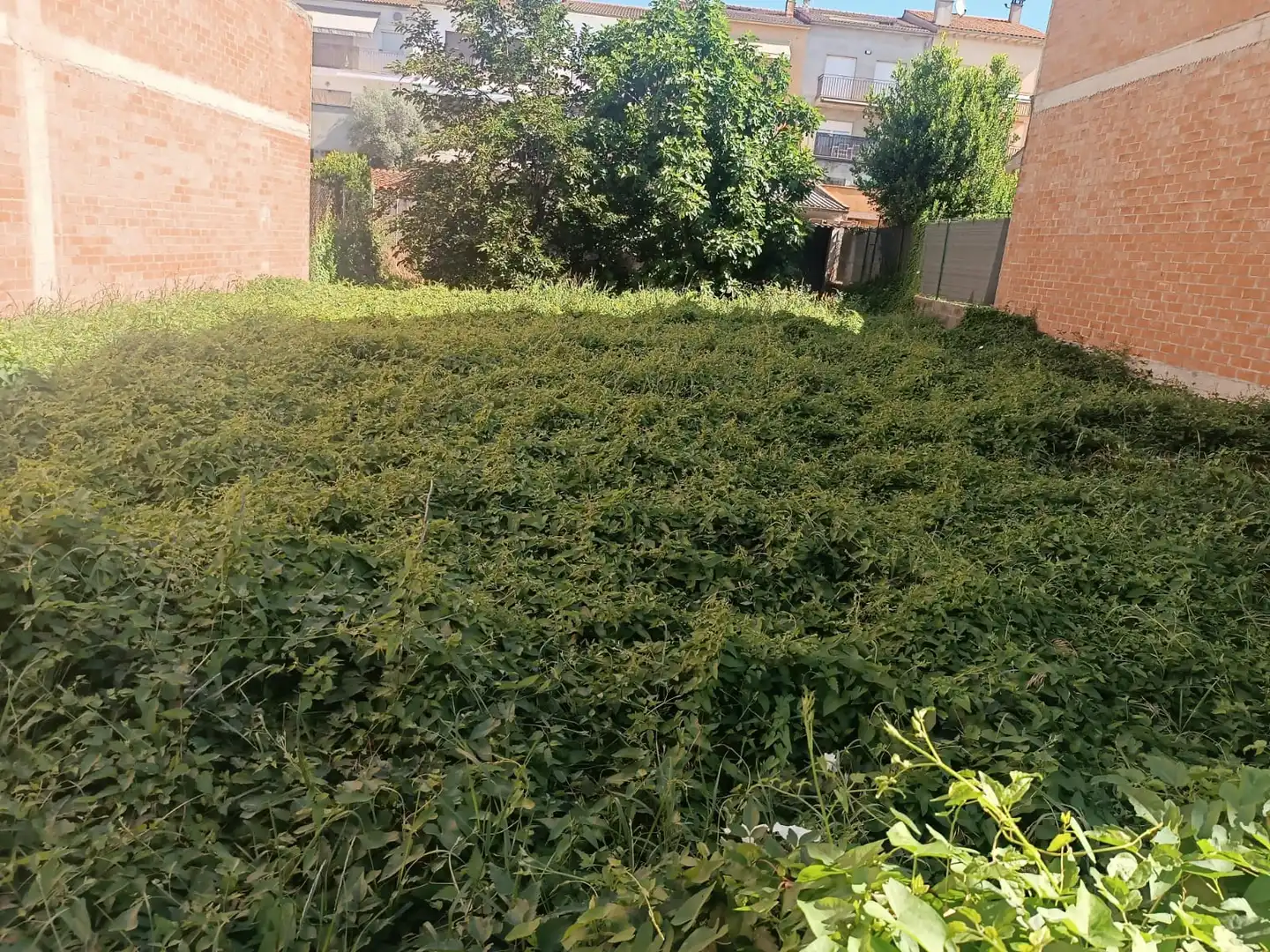 Terreny residencial en venda a Torelló, imagen 3