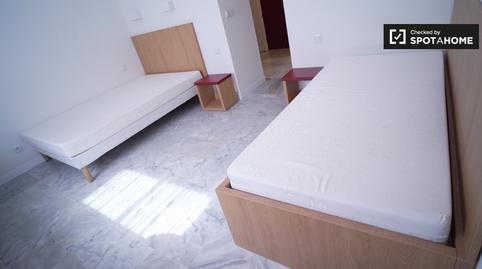 Photo 4 of Study to share in Triana Oeste, Sevilla