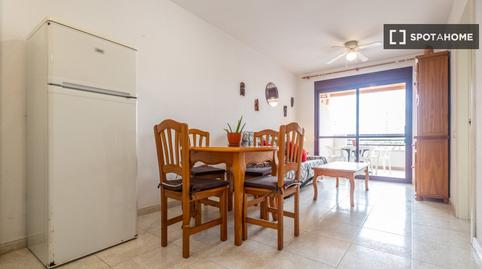 Photo 3 of Study to share in Zona Levante - Playa Fossa, Alicante