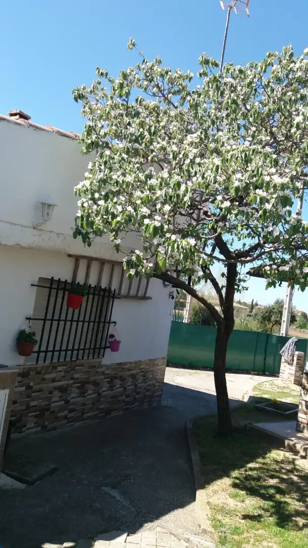 Terreni e lotti in vendita a La Hiniesta, imagen 4