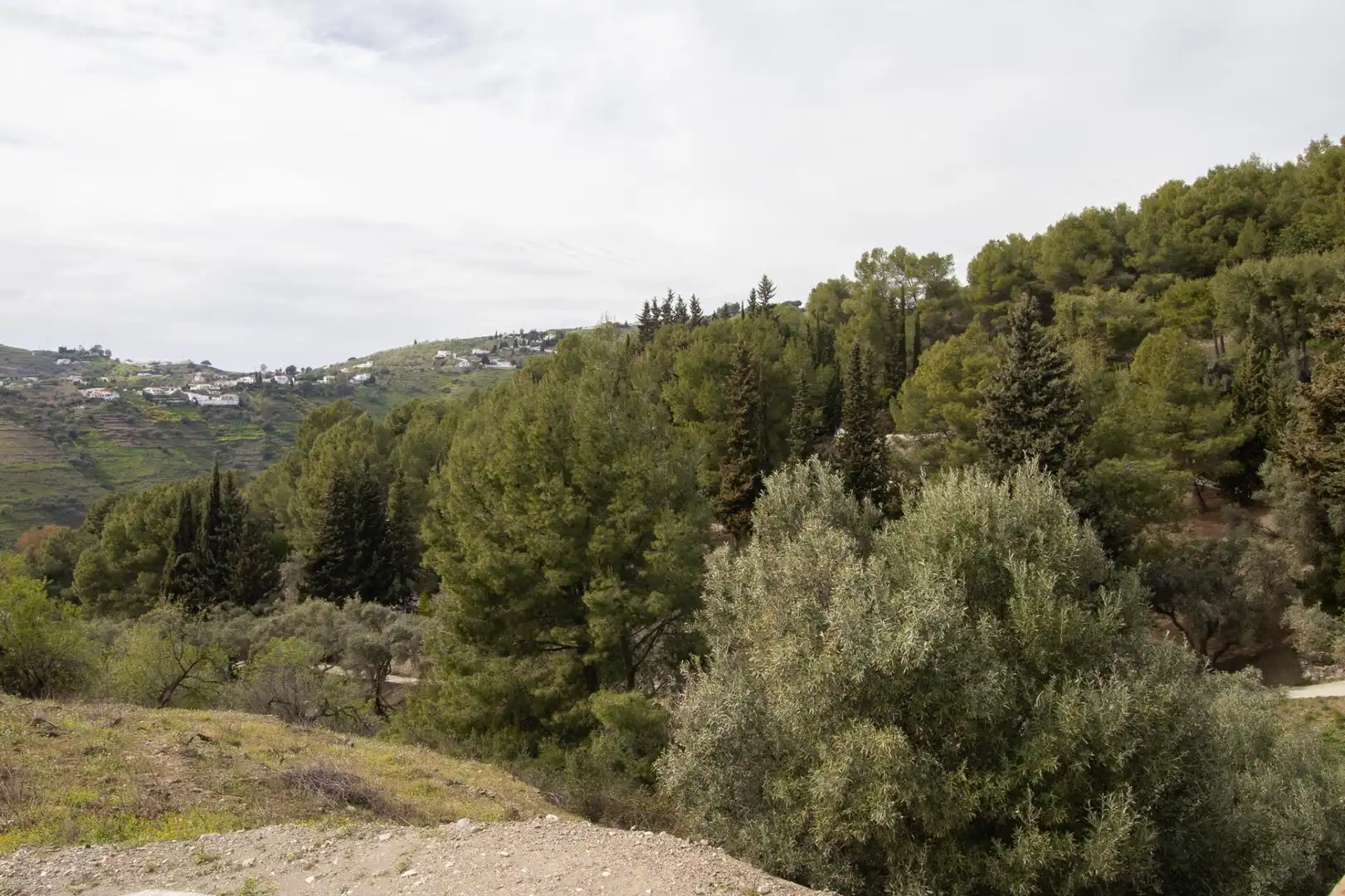 Casa o chalet en venta en Cómpeta