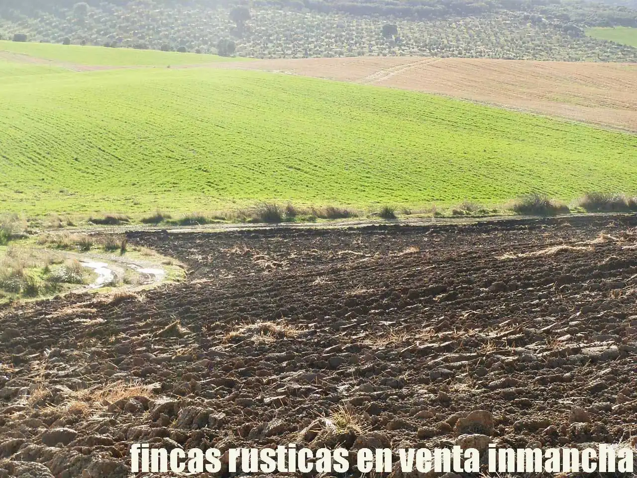 Terreny rústic en venda a Viso del Marqués, imagen 11