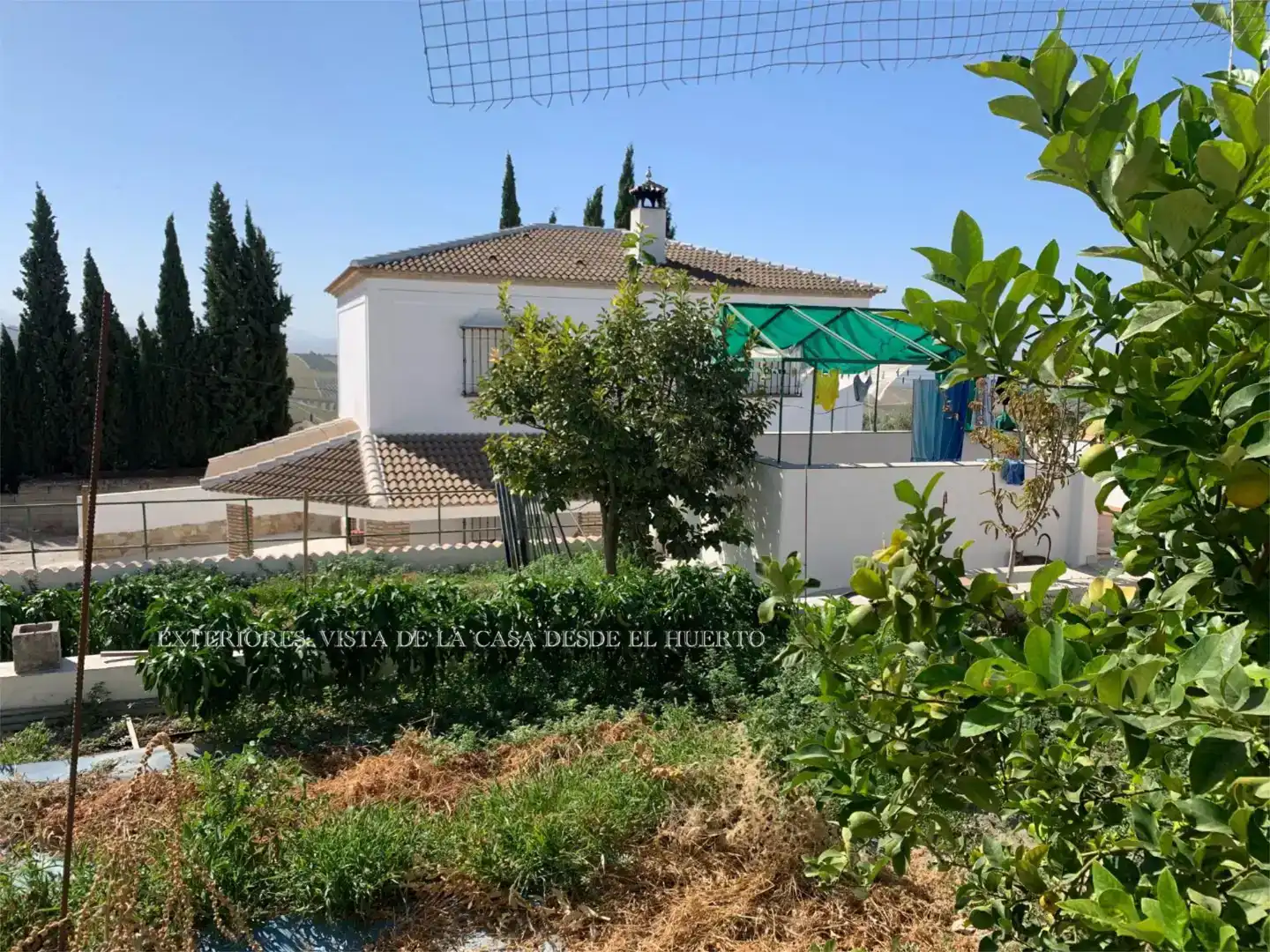 Vista exterior de Piso en venta en Montilla con Jardín privado, Piscina y Balcón