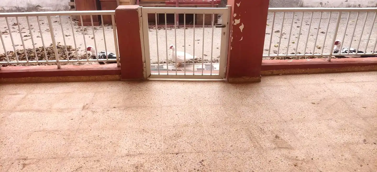 Casa o chalet en venta en Cullera con Terraza y Trastero