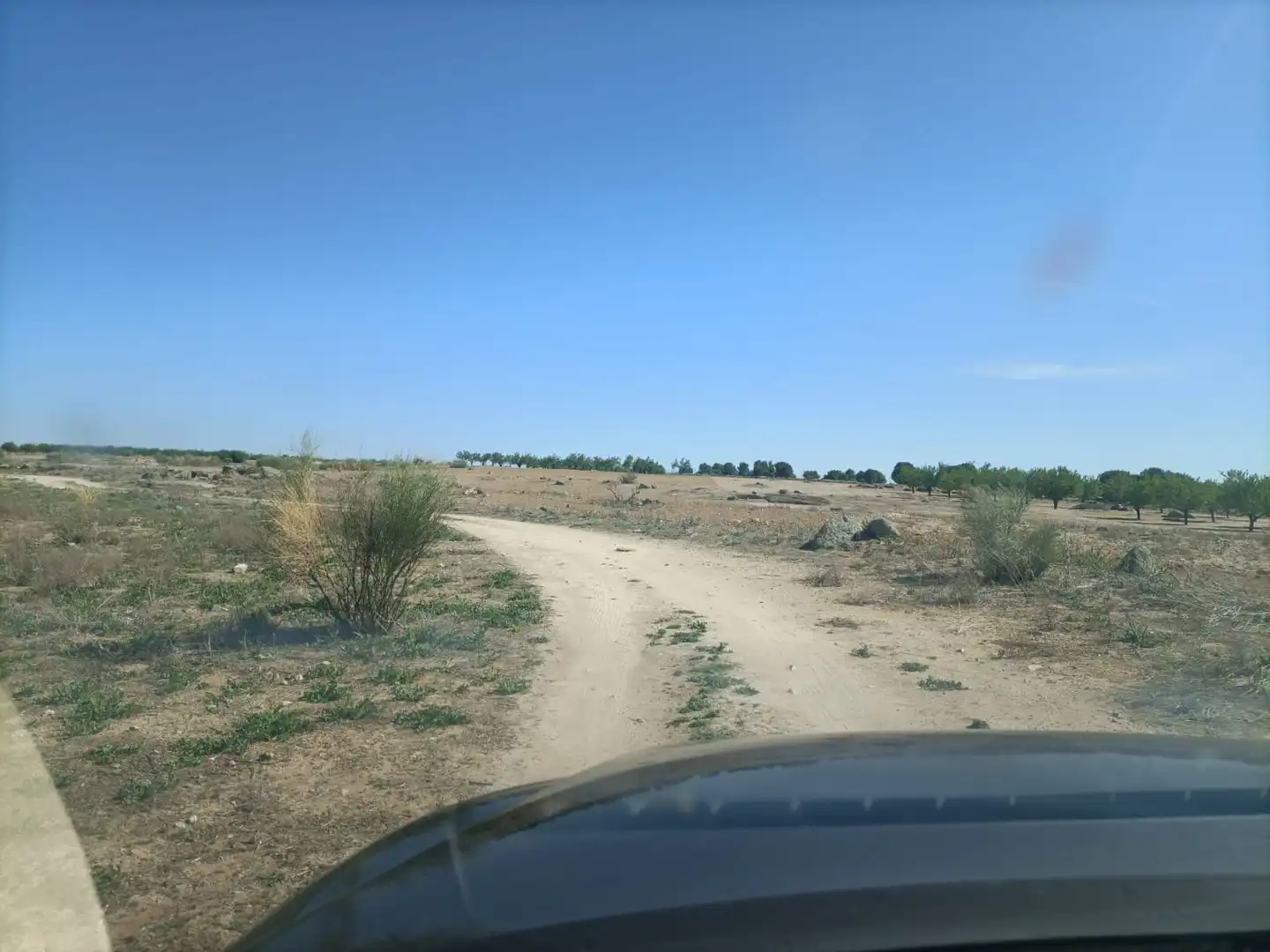 Rural land for sale in Almonacid de Toledo, imagen 4