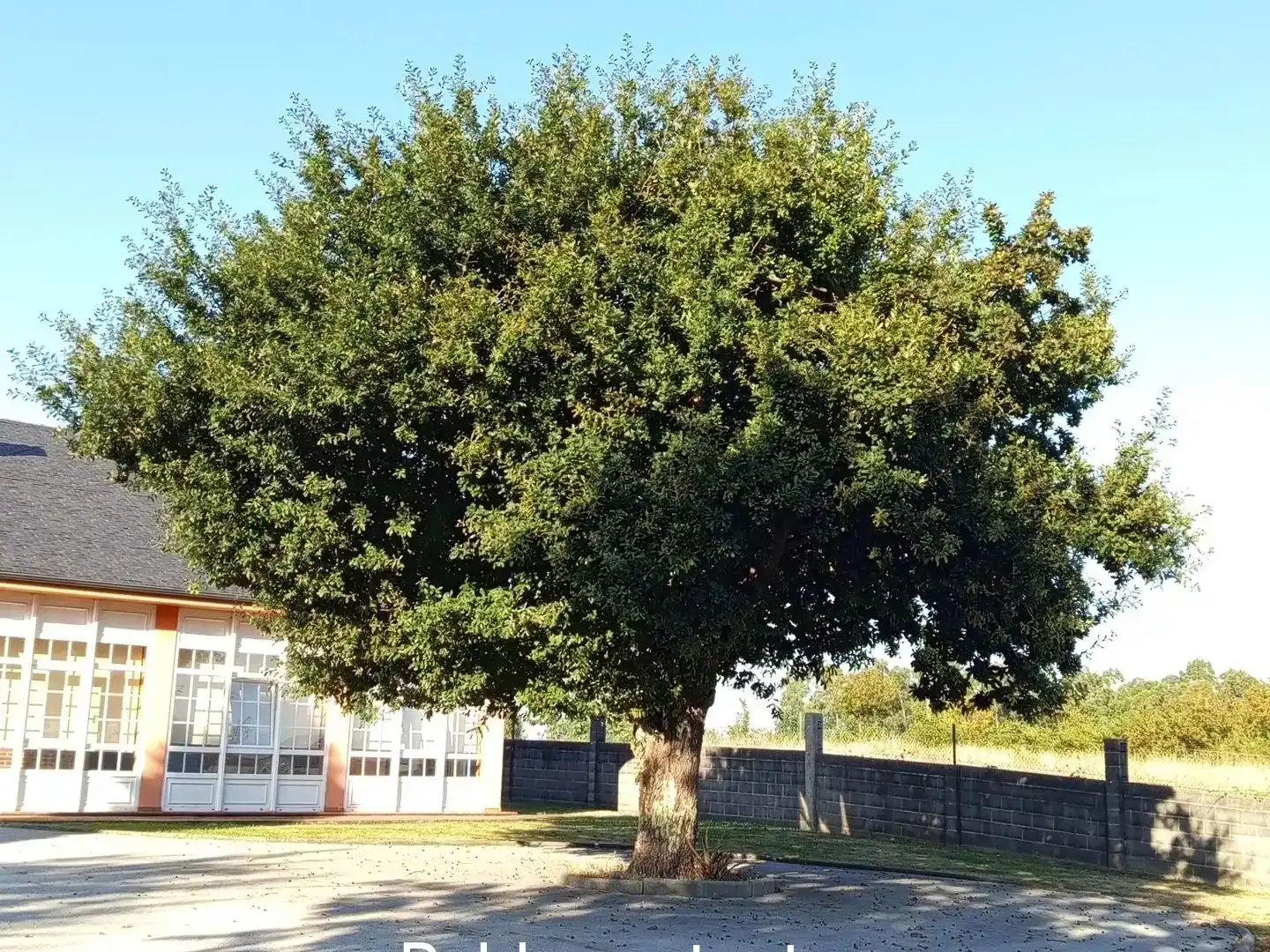 Vista exterior de Casa o xalet en venda en Culleredo amb Calefacció, Jardí privat i Terrassa