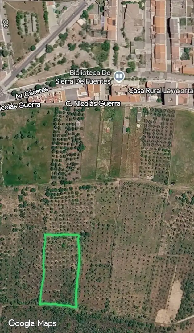 Terreno rústico en venta en Sierra de Fuentes, imagen 2