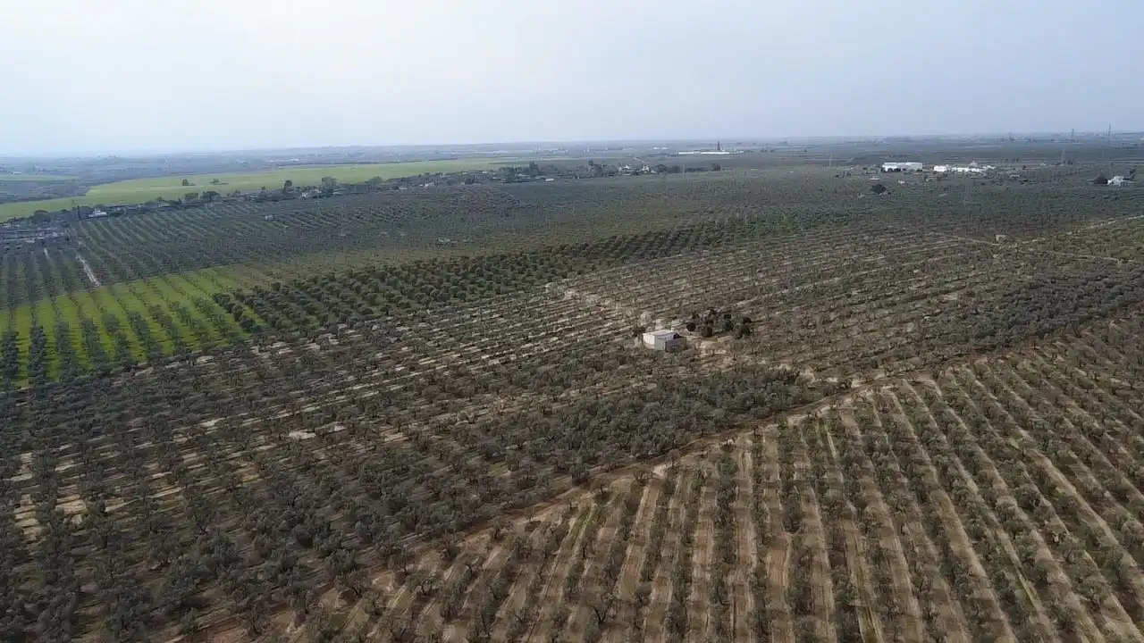 Terreno en venta en Bormujos