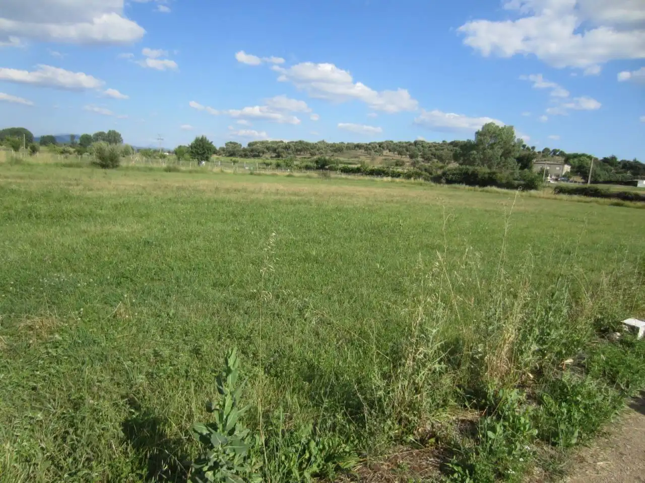 Terreno residencial en venta en Carretera CACERES, imagen 4