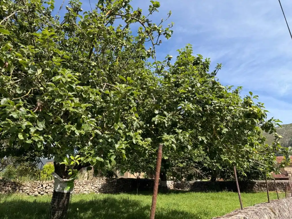 Garden of Houses for sale in San Felices de Buelna  with Heating, Private garden and Storage room