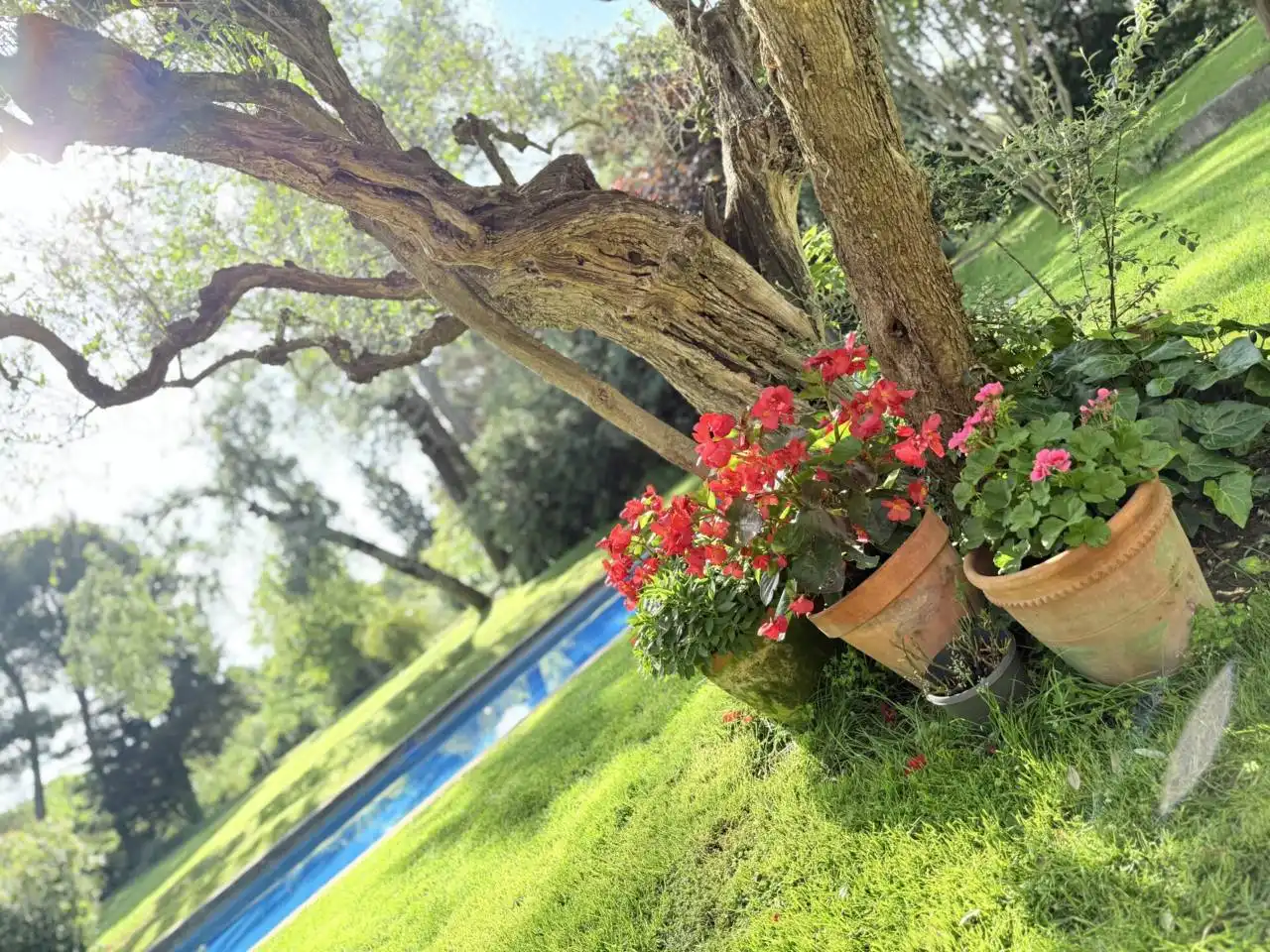 Garden of Houses for sale in Piera  with Heating, Private garden and Terrace