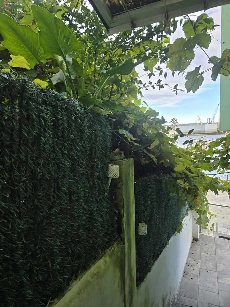 Garden of Detached homes for sale in Ferrol  with Heating, Terrace and Storage room