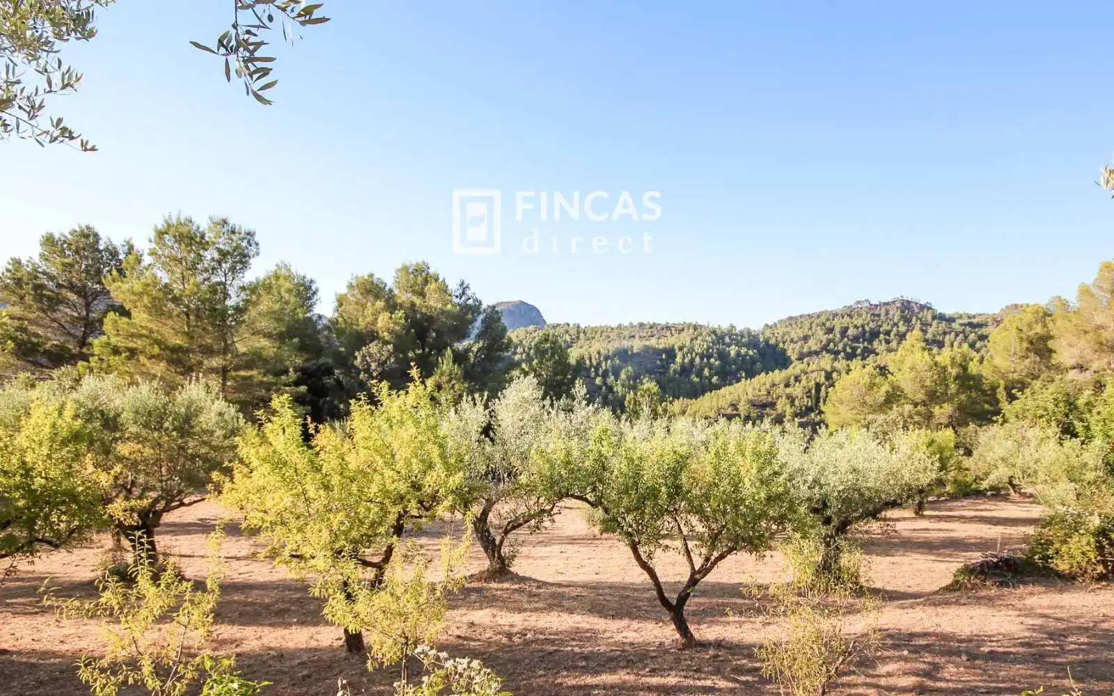 Finca rústica en venta en Benifallet con Calefacción, Trastero y Amueblado