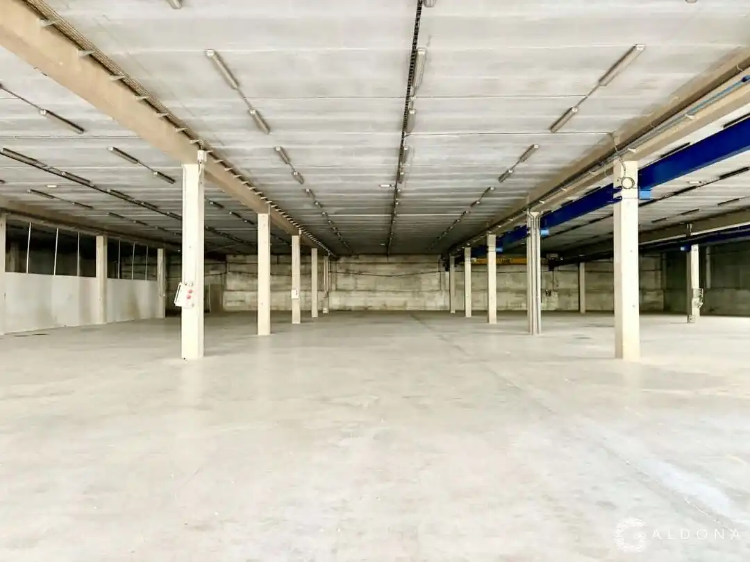 Nau industrial en venda a Etxezarreta Industrialdea Auzoa, imagen 10