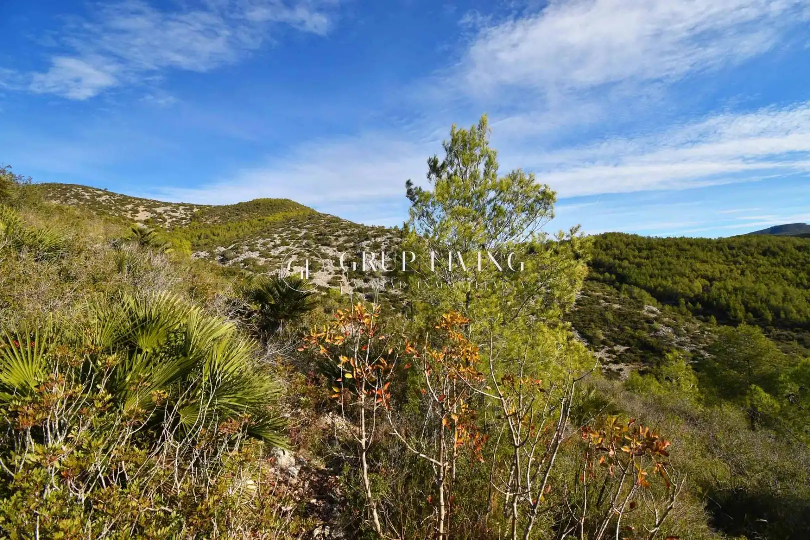 Terreny residencial en venda a Olivella