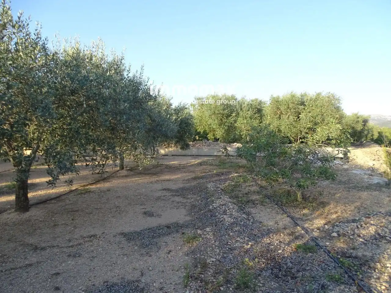 Terrenos y solares en venta en 2, imagen 6