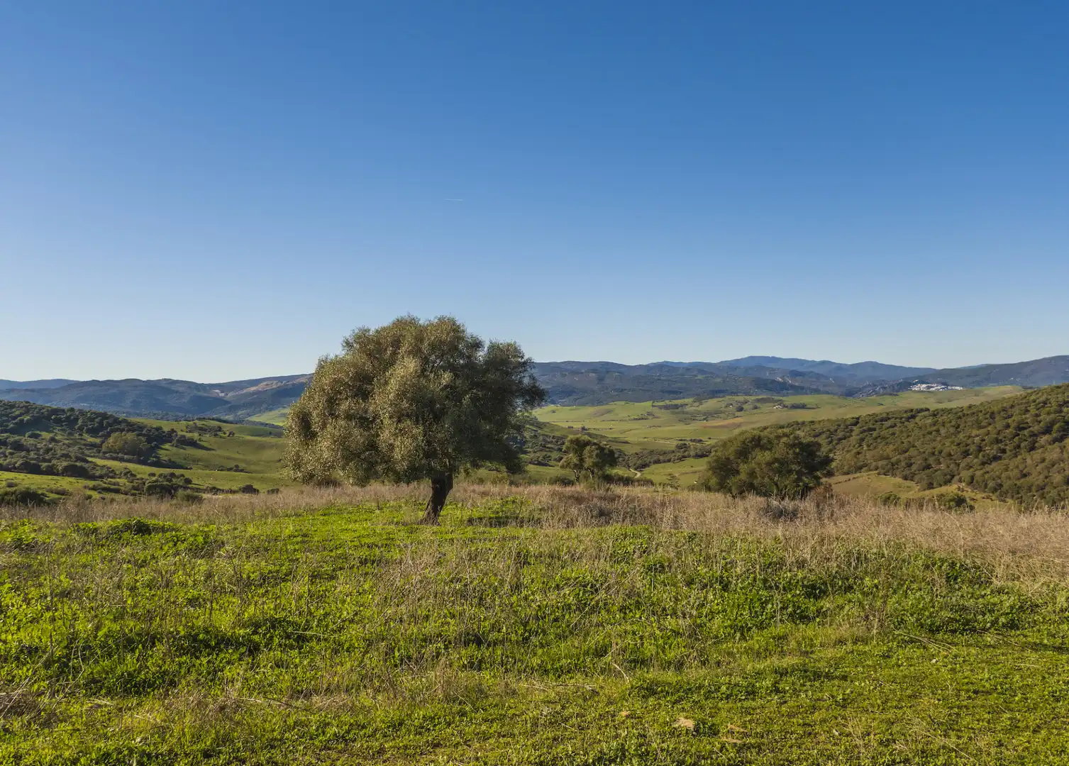 Finca rústica en venda en San Martín del Tesorillo amb Aire condicionat, Jardí privat i Terrassa