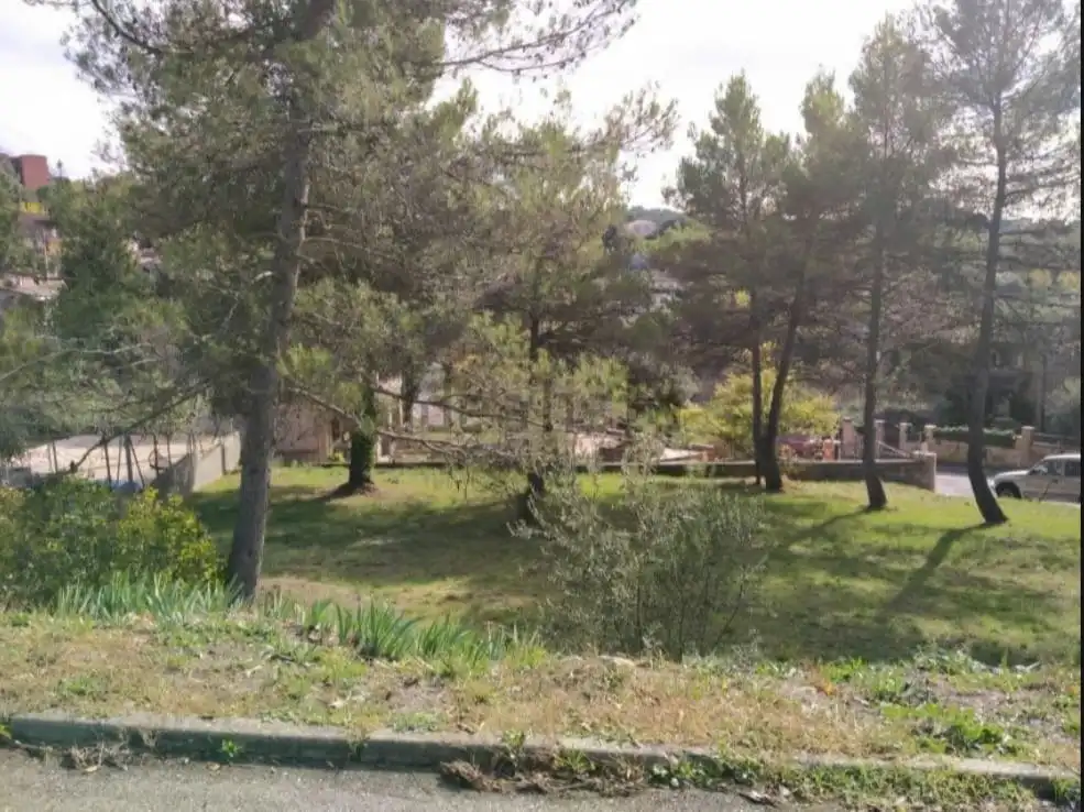 Residential land for sale in Talamanca, imagen 2