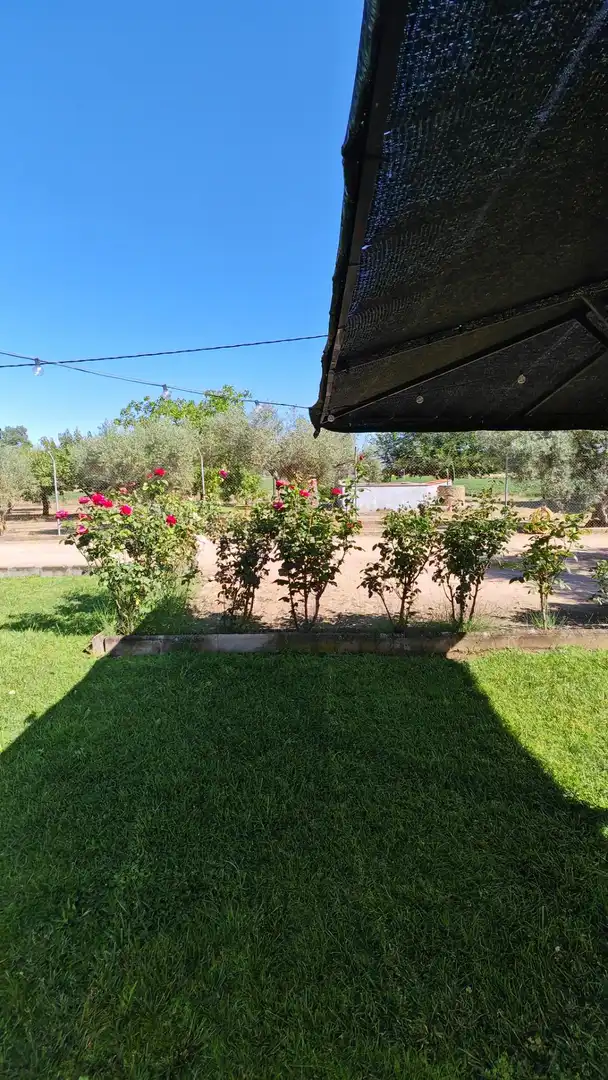 Jardín de Casa o chalet en venta en Medellín con Terraza