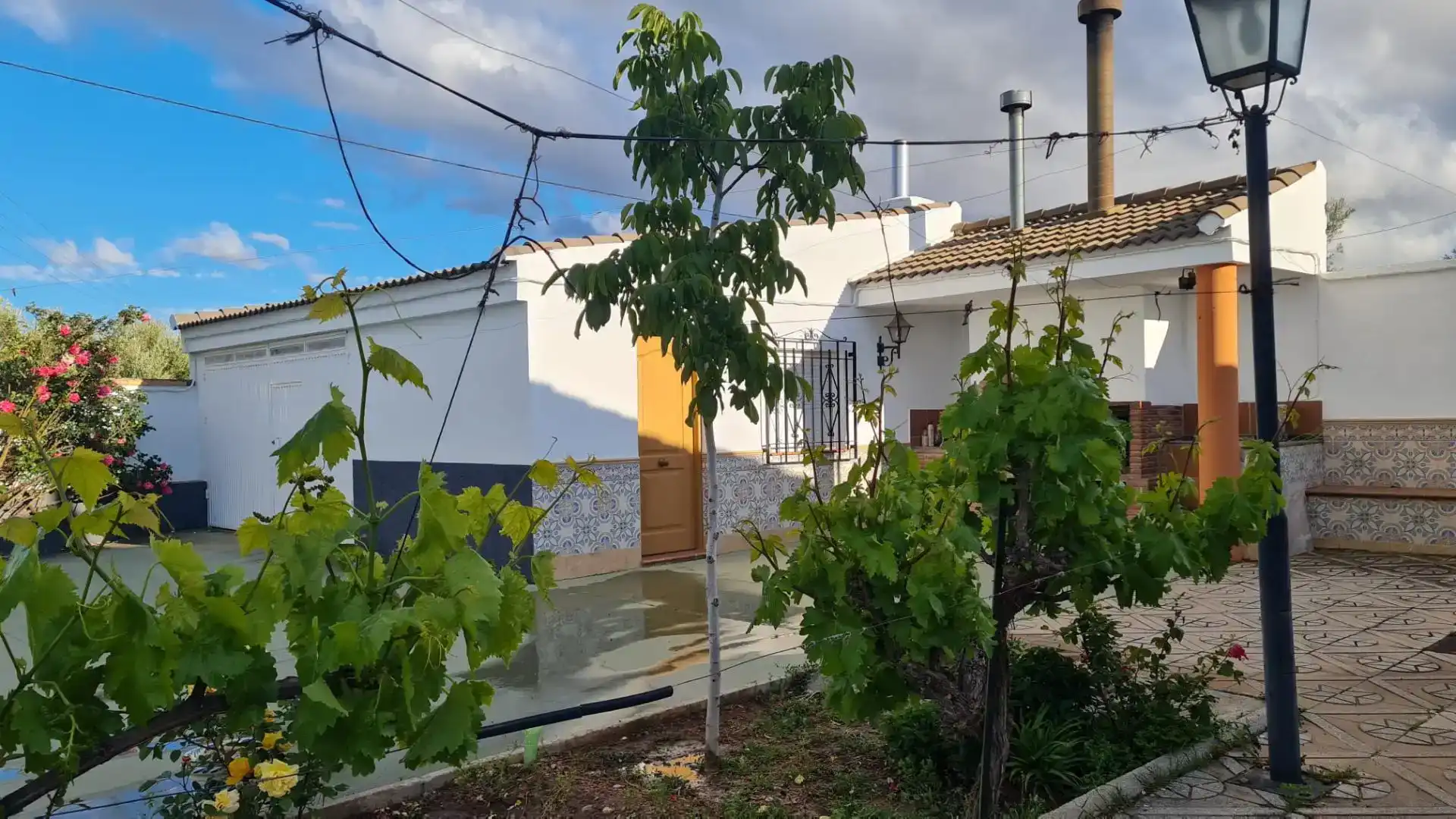 Vista exterior de Casa o chalet en venta en Baza con Jardín privado y Piscina