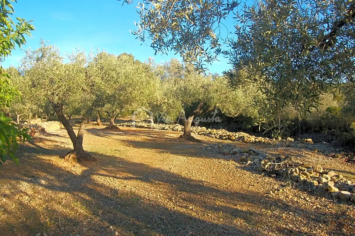 Terreno rustico in vendita a Burgà, imagen 9