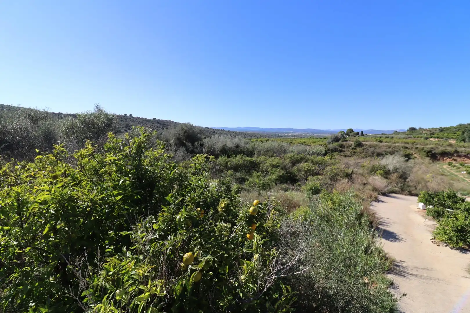 Grundstücke zum Verkauf in Ulldecona