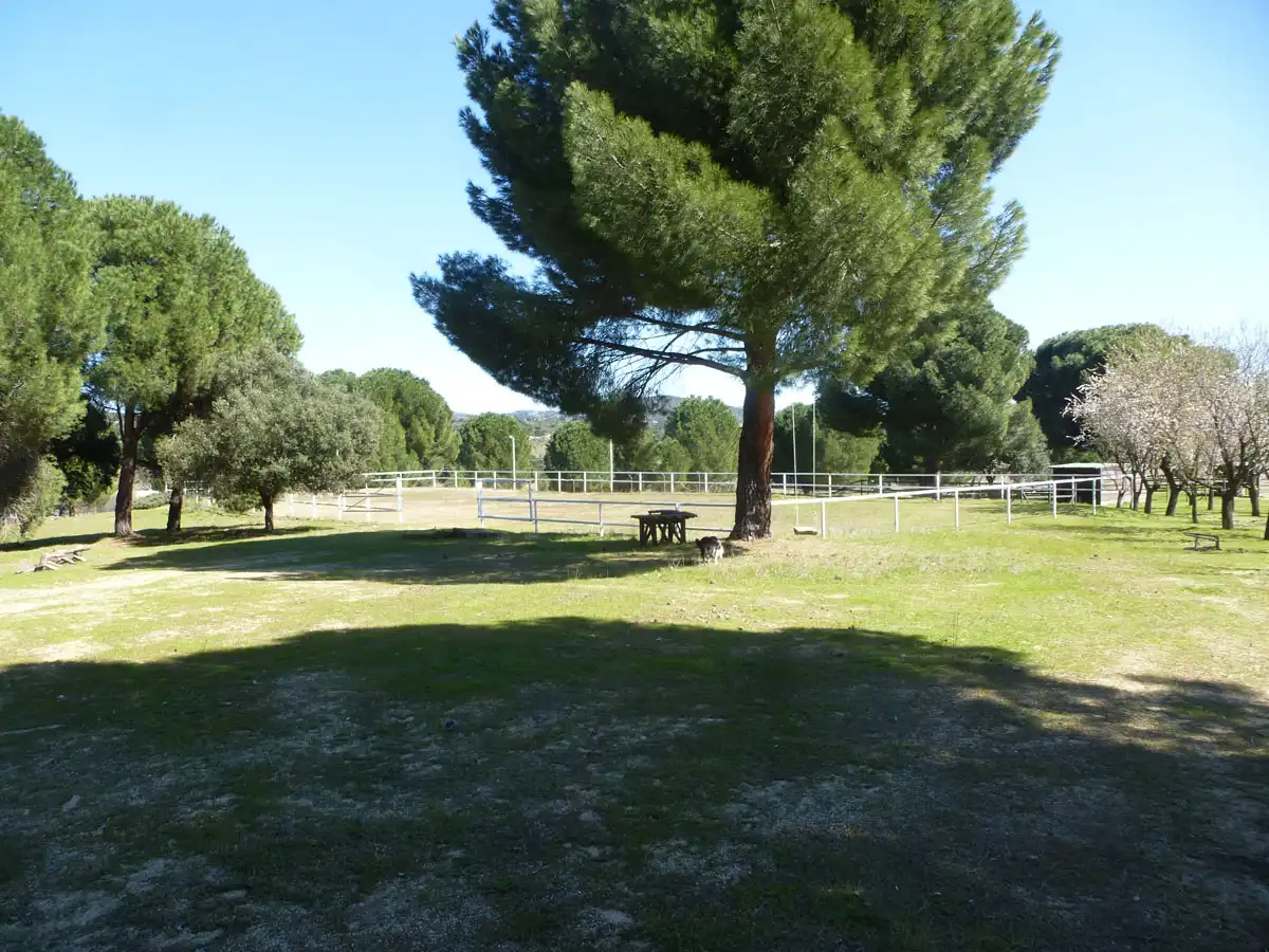 Terreno residencial en venta en Pelayos de la Presa, imagen 14