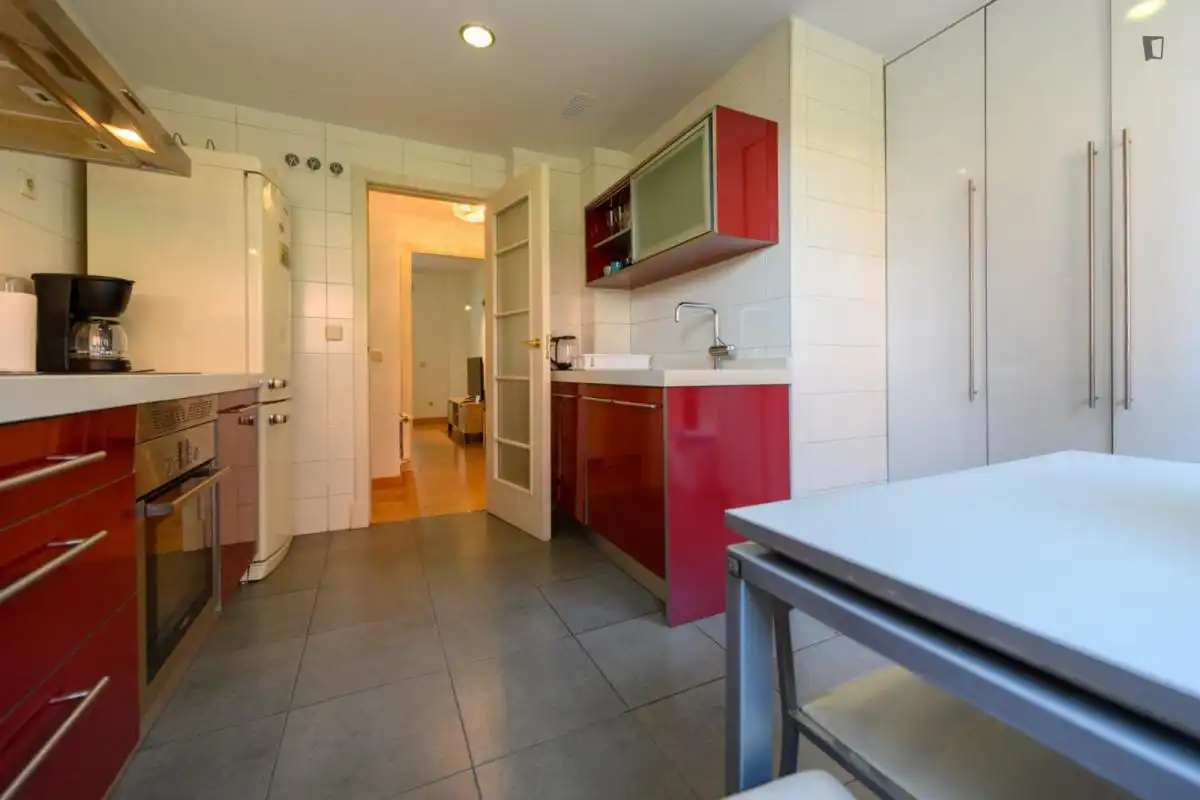 Cuina de Apartament de lloguer en Madrid amb Calefacció, Moblat i Forn