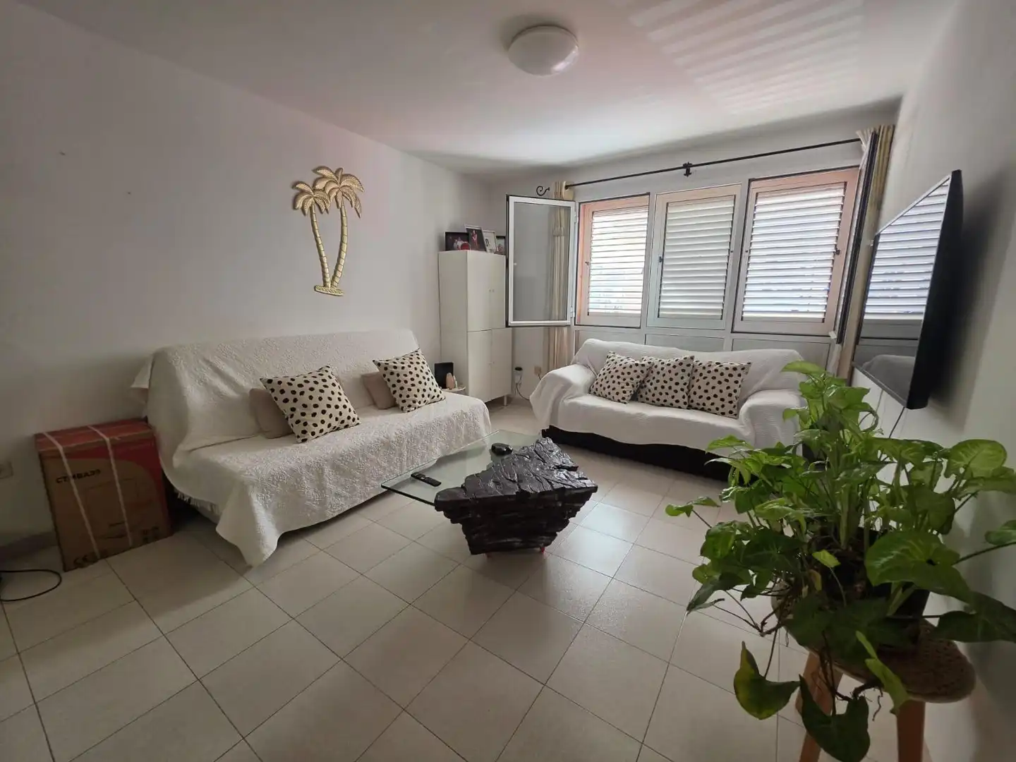 Planta baja en venta en Calle Calle Sevilla, Buenavista - Rosa Vila