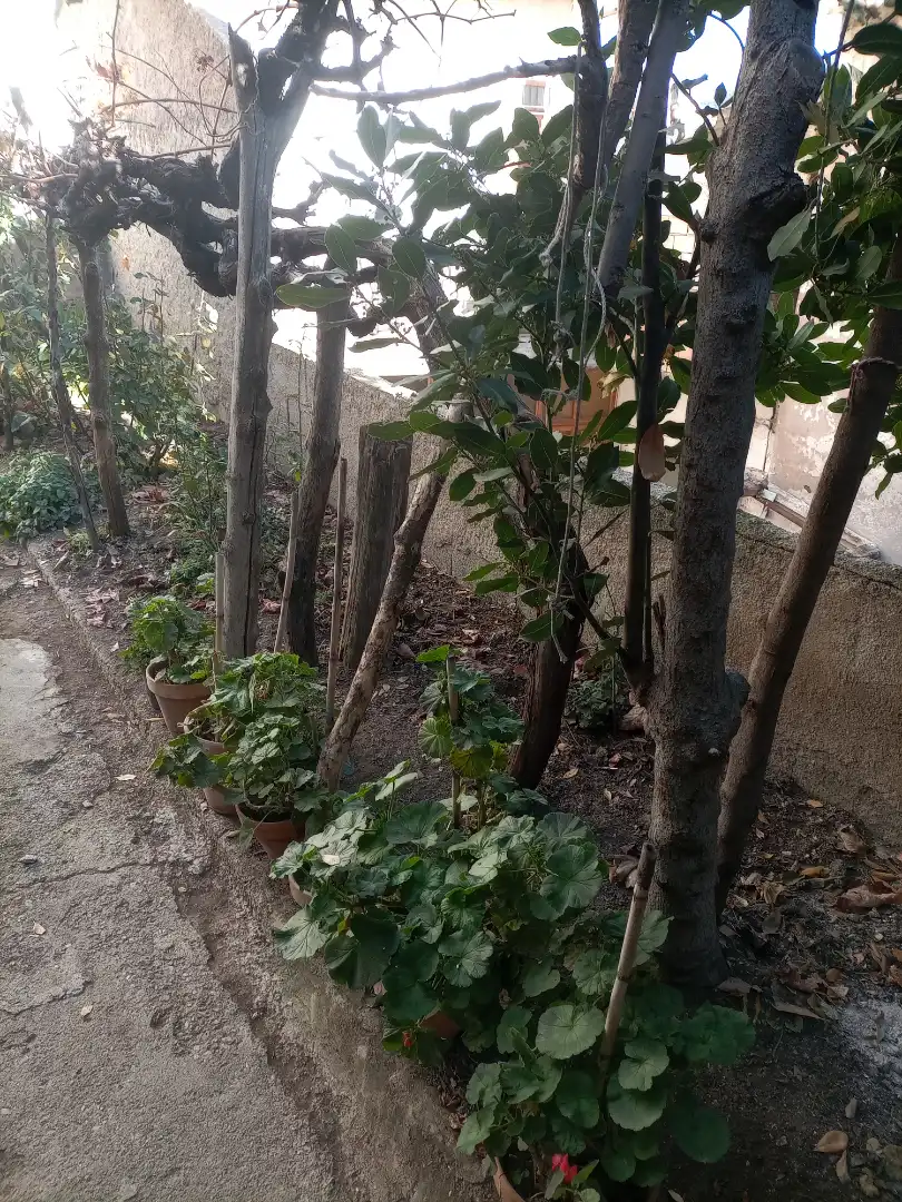 Casa amb jardí en venda a A-4130 29, imagen 15