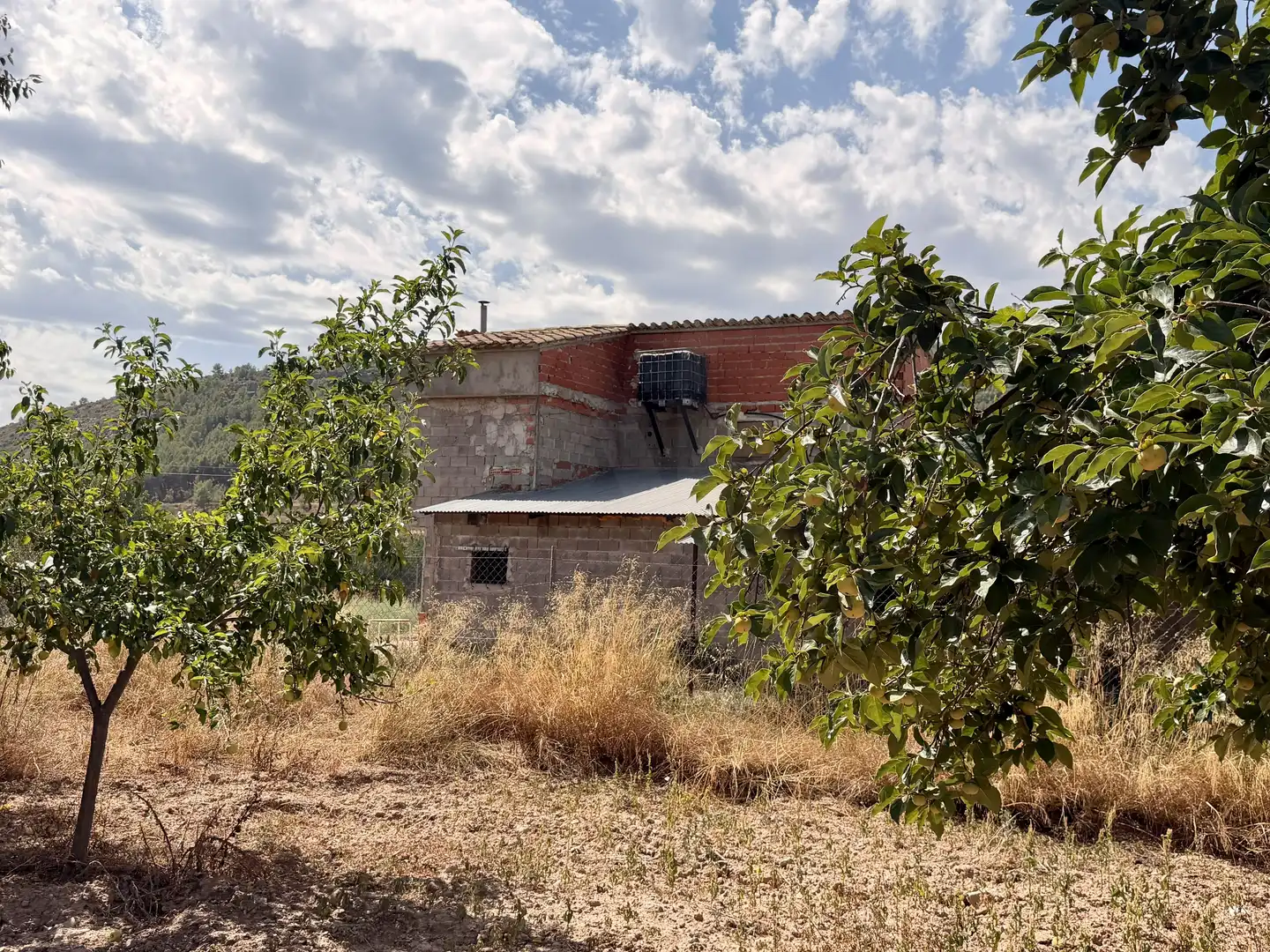 Exterior view of Houses for sale in Viver  with Terrace