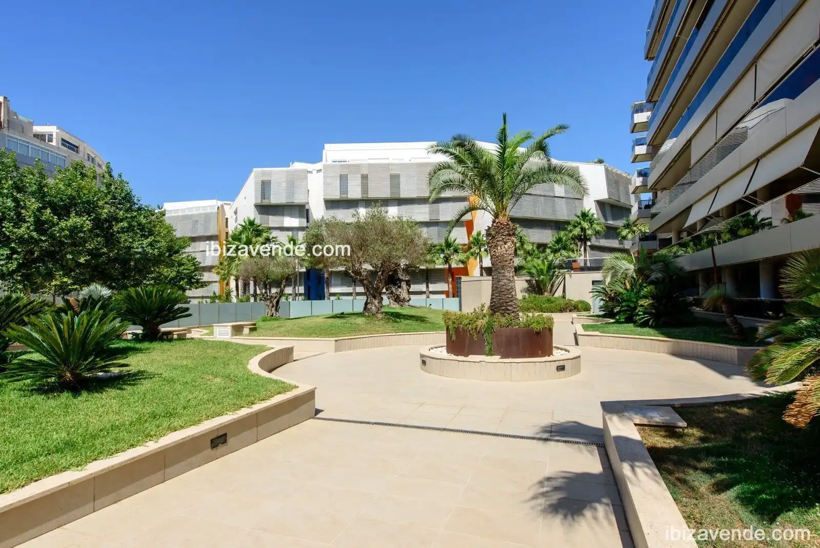 Appartamento con piscina in affitto a Gregal, imagen 2