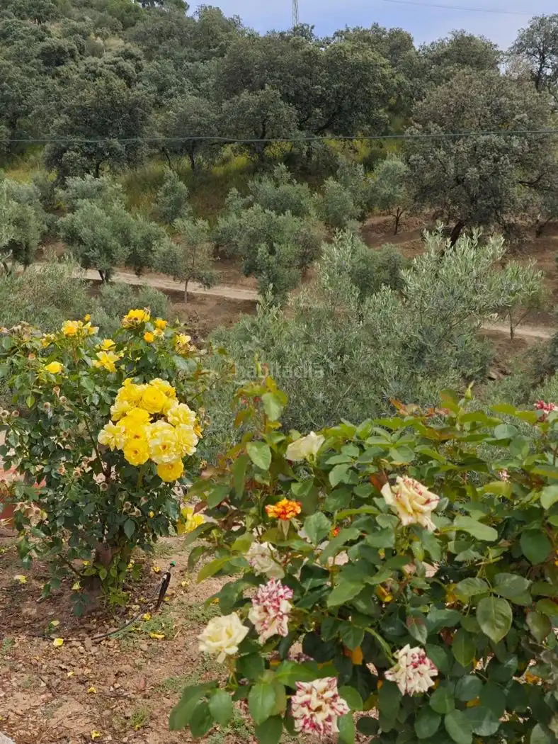 Xalet amb jardí en venda a Calle Carrera de la Virgen 22, imagen 22