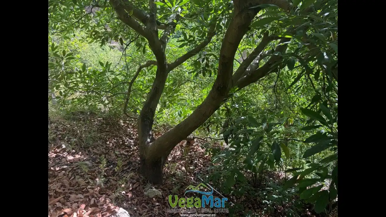 Grundstücke und Bauplätze zum Verkauf in Los Bancales, imagen 41