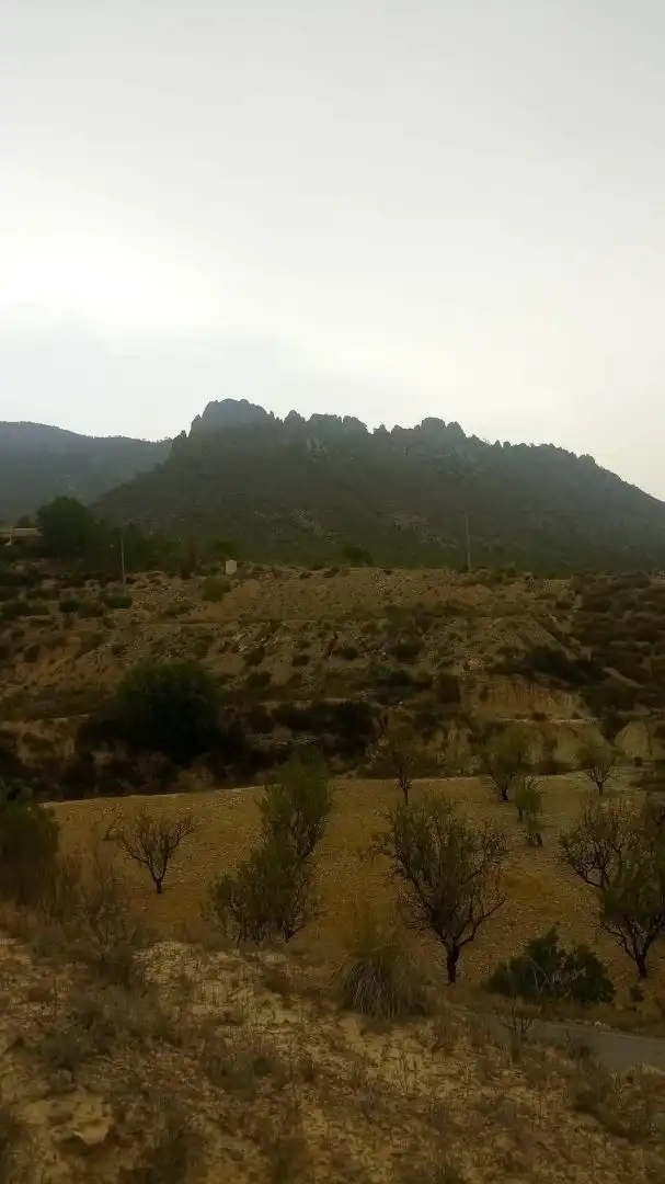 Finca rústica en venda en Ricote amb Moblat