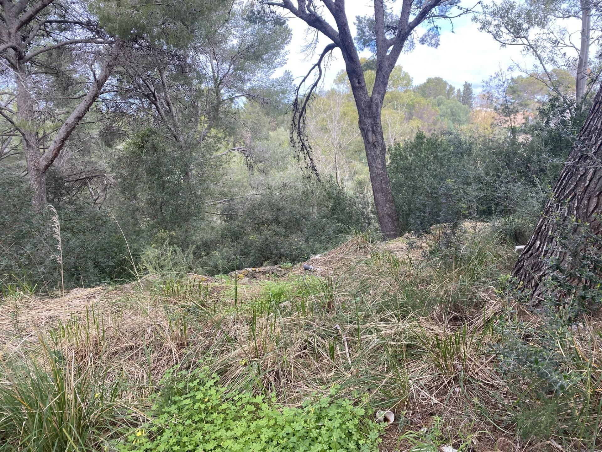 Residencial en venda en Alcúdia