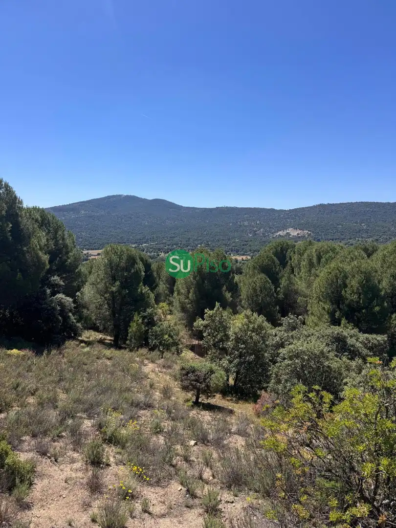 Casa o xalet en venda en San Martín de Valdeiglesias amb Jardí privat