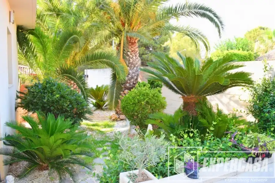 Casa o xalet en venda a El Carme - Sant Agustí - Bonavista
