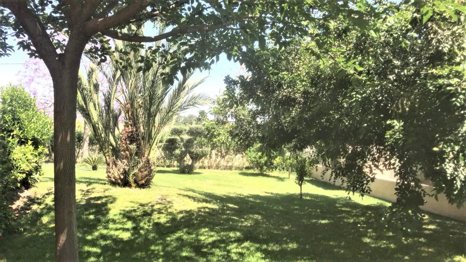 Xalet amb piscina en venda a Pedanías Centro, imagen 28