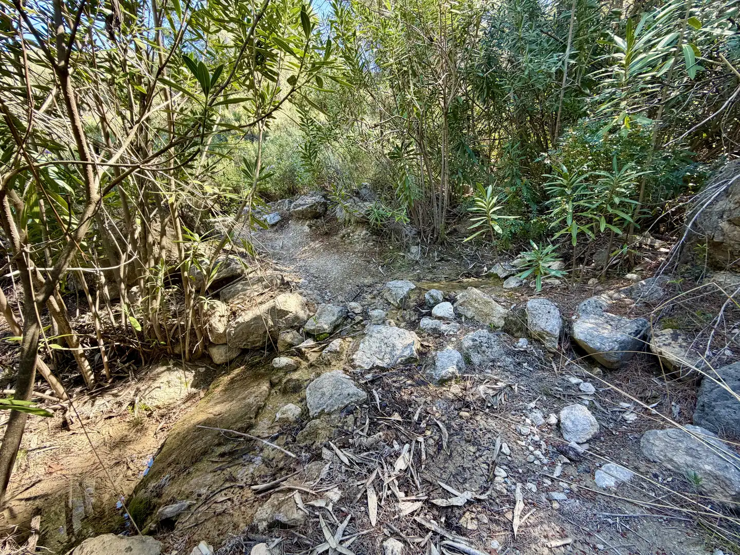 Terrain rustique à vendre à Cieza, imagen 7