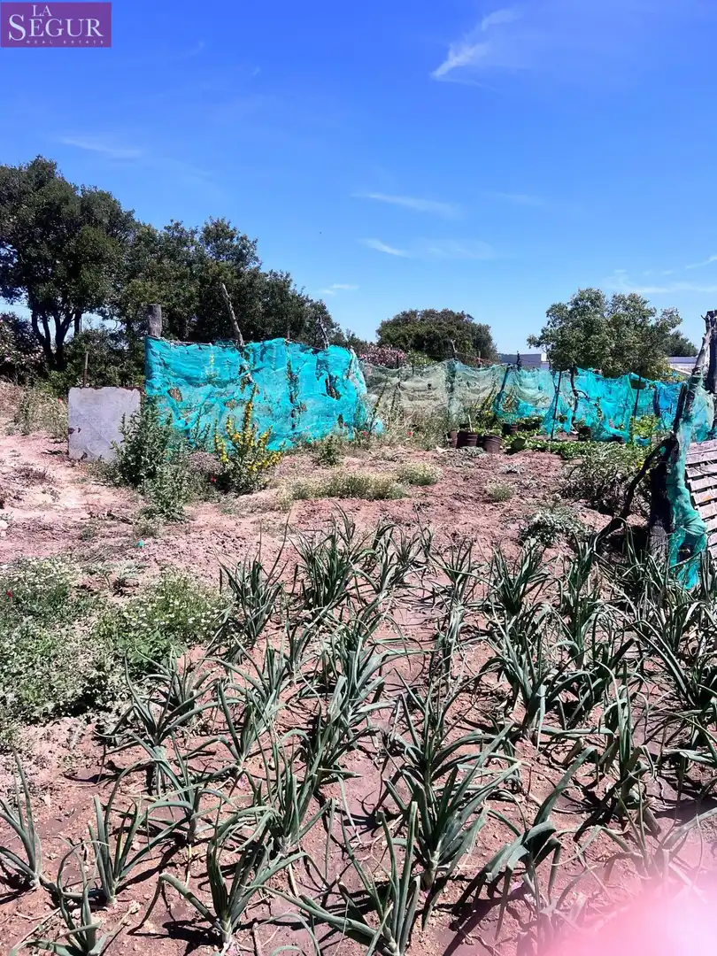 Finca rústica en venda en Vejer de la Frontera