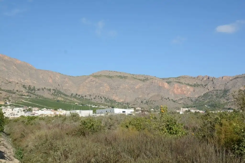 Terreno rústico en venta en Montepinar - La Aparecida - Raiguero, imagen 4