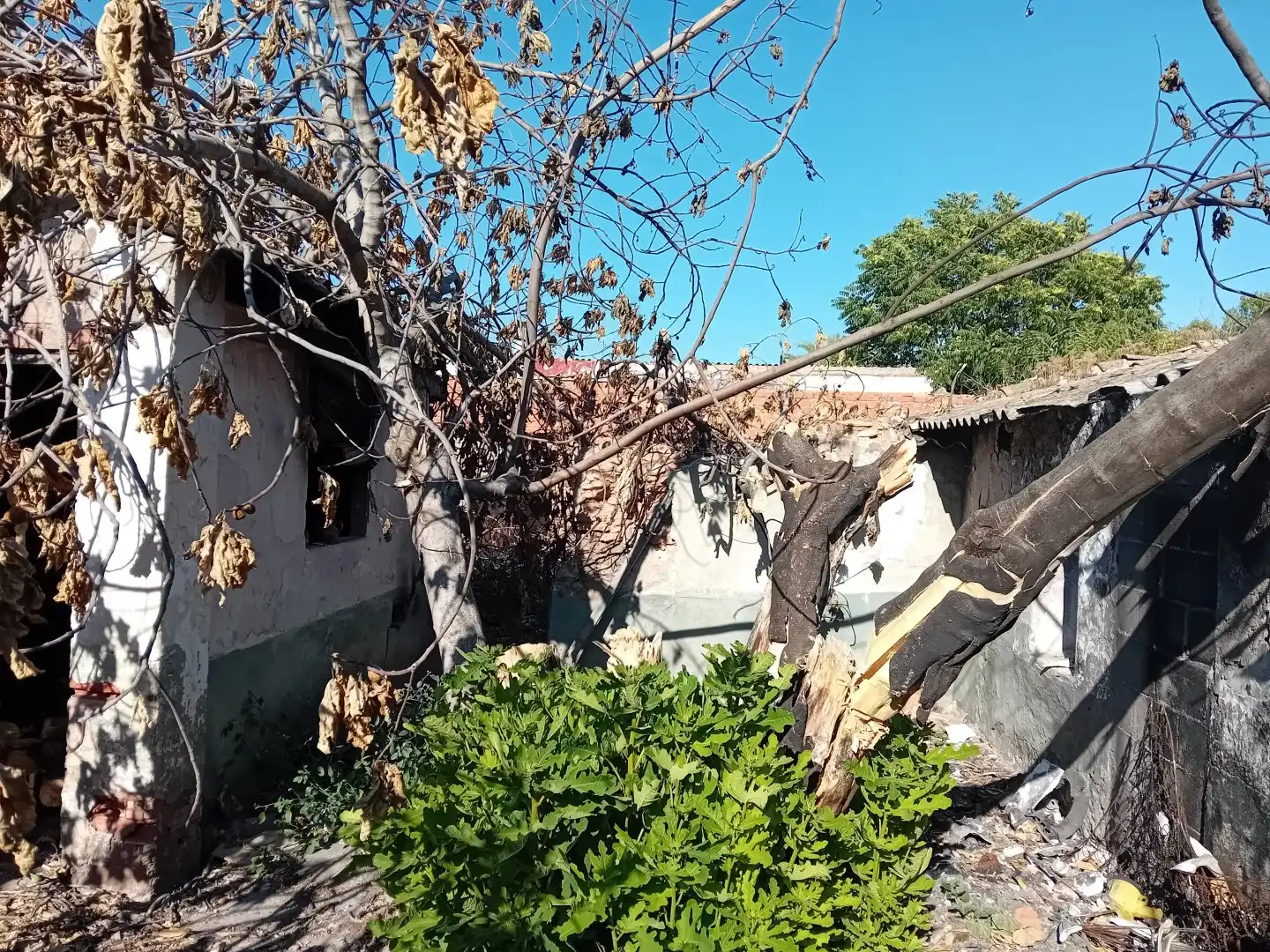 Terrenos y solares en venta en Torralba de Calatrava, imagen 5
