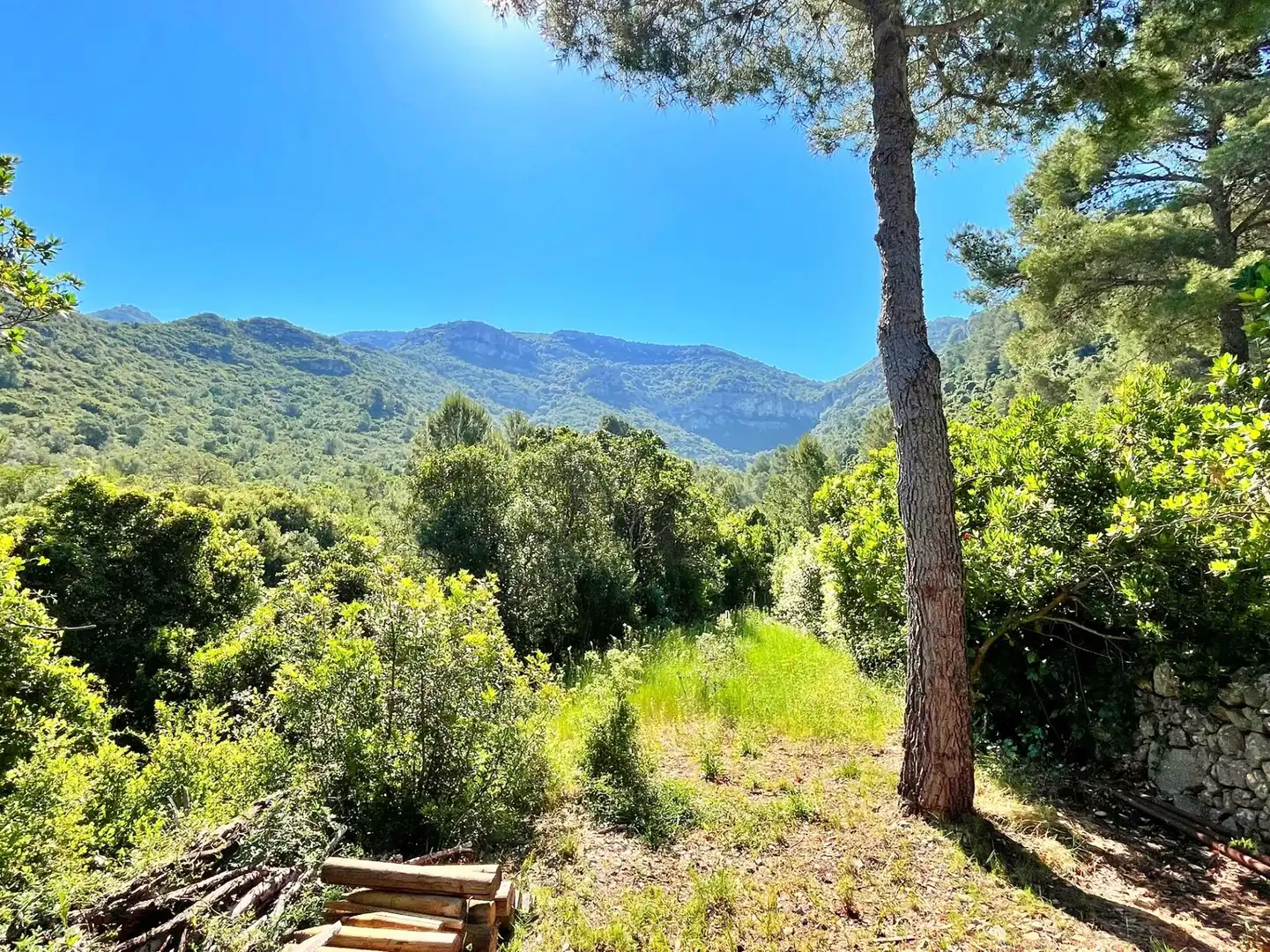Villa in vendita a Freginals, imagen 43