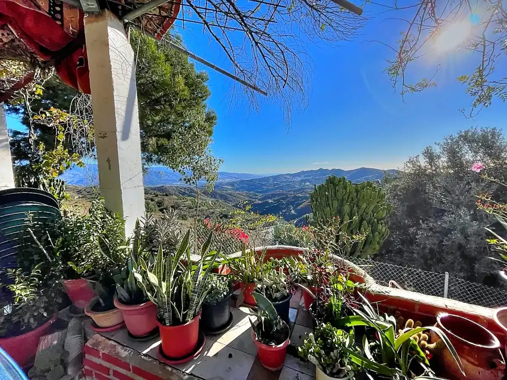 Vista exterior de Finca rústica en venta en Macharaviaya con Jardín privado, Terraza y Amueblado